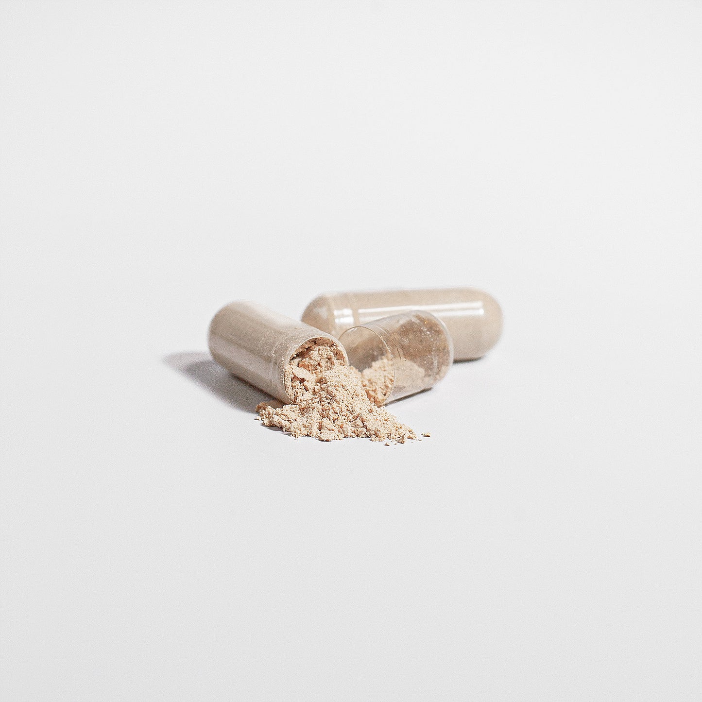 Lion's Mane Mushroom by Project M